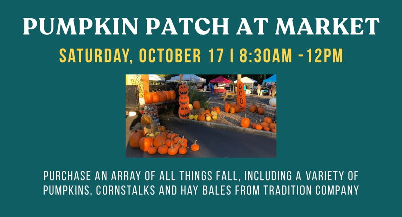 Pumpkin Patch at the Peachtree Road Farmers Market