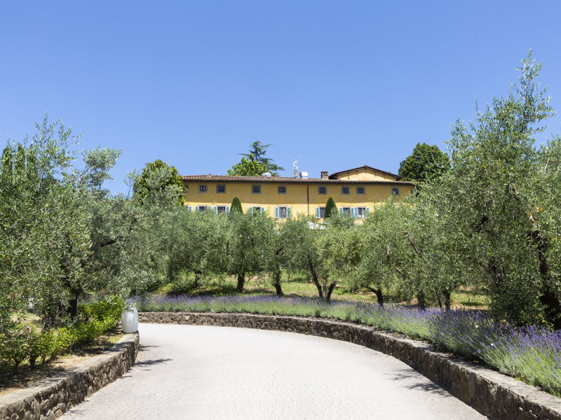 Cours de cuisine Terranuova Bracciolini: Cours de cuisine privé dans une charmante maison de campagne