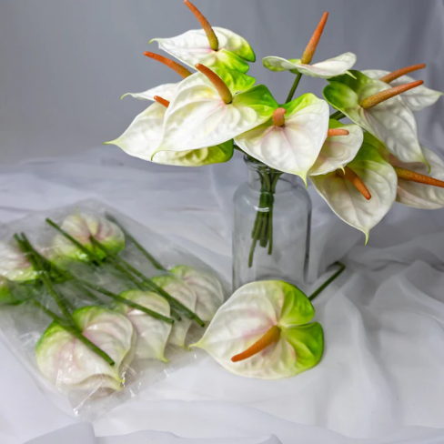 Anthurium Small White/Green - Realistic Artficial Flowers