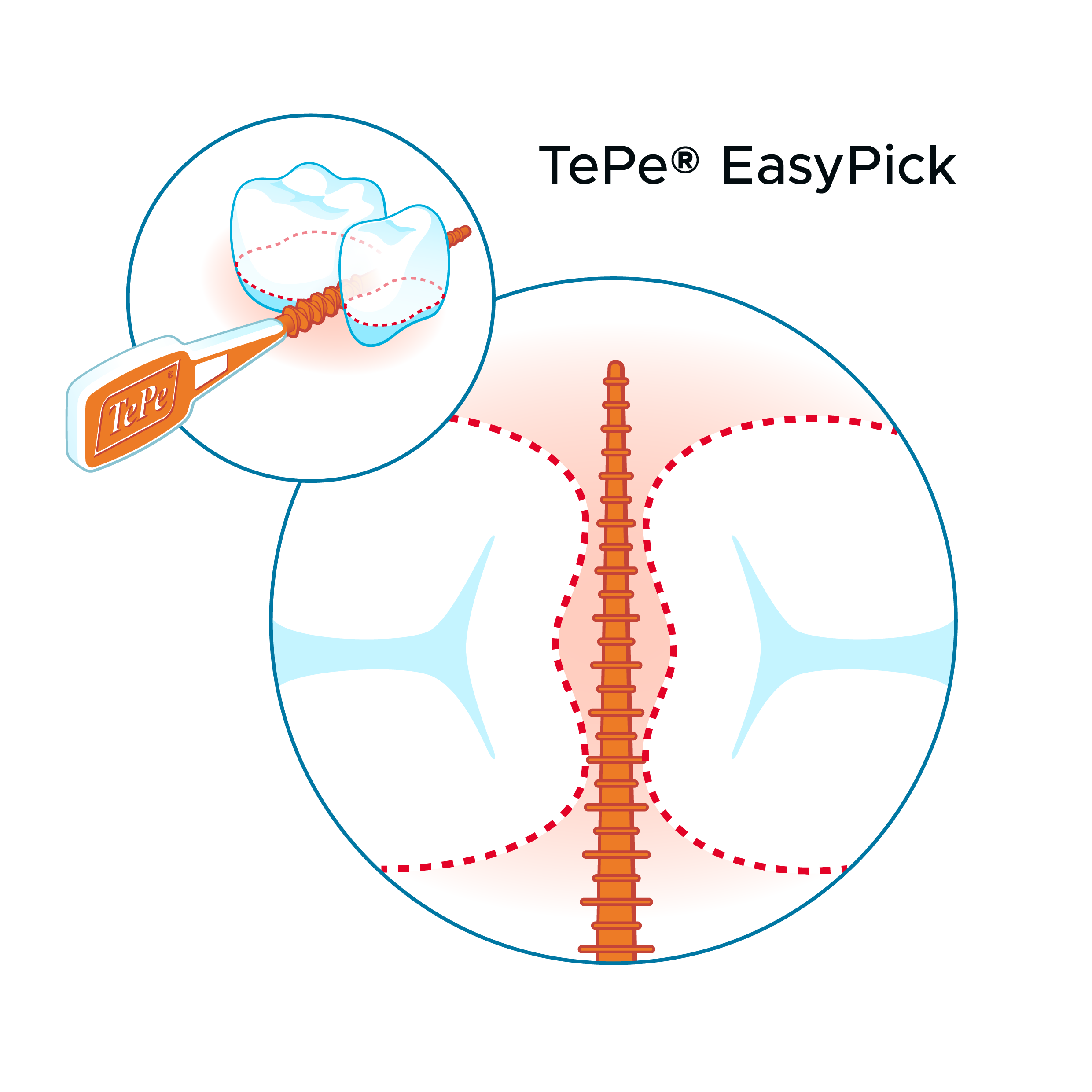 Illustration showing how TePe EasyPick fits between teeth