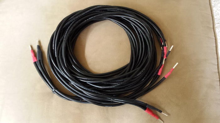 Audio Note Lexus Bi-wire 3M speaker cables Excellent co...
