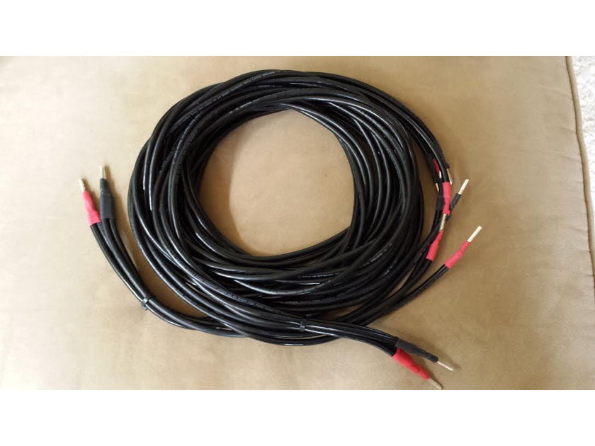 Audio Note Lexus Bi-wire 3M speaker cables Excellent condition