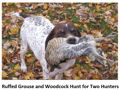 Ruffed Grouse/Woodcock Hunt in Michigan for Two Hunters