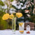 red root and co marigold shrub with yellow flowers