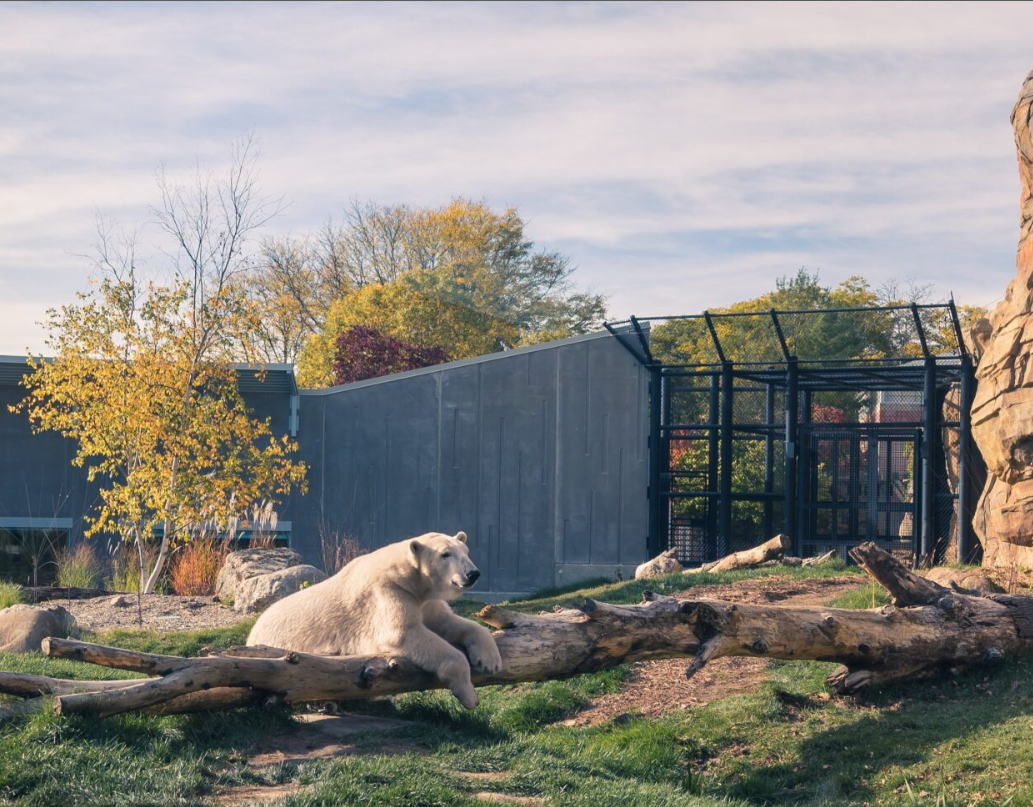 Henry Vilas Zoo