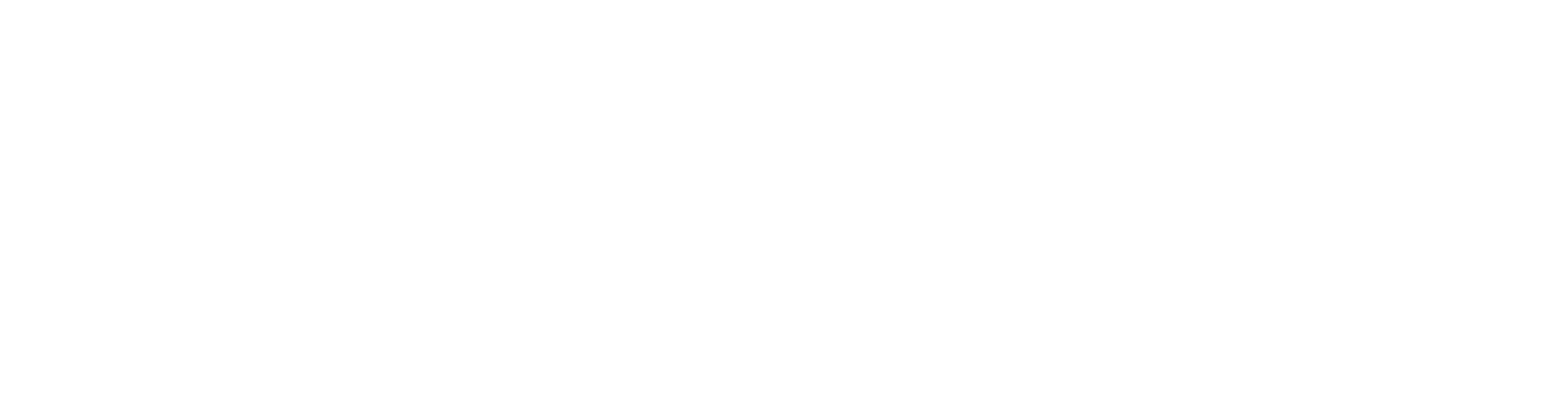 AInstein Logo