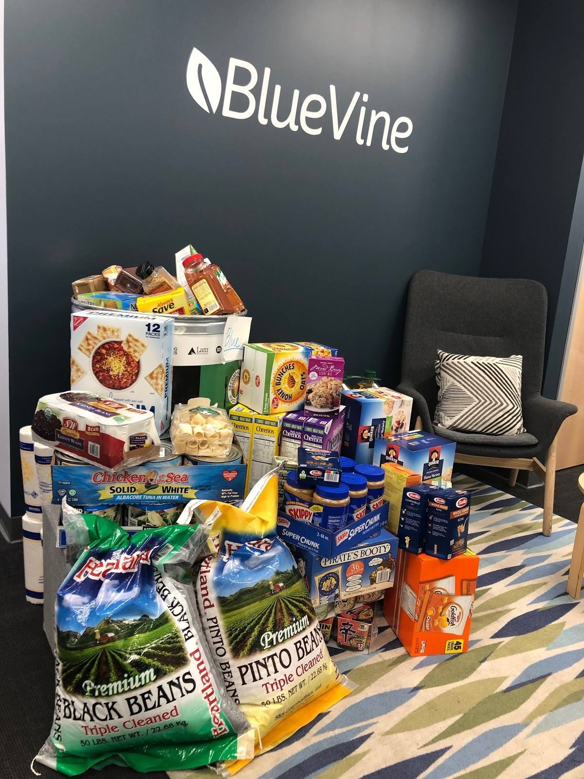 About bluevine