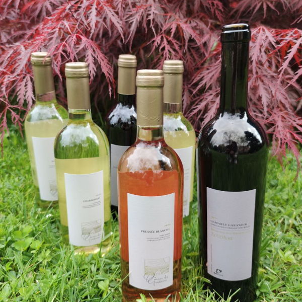 coffret-decouverte-vin-bio-de-corsier