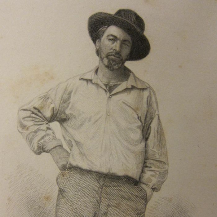 Drawing of a younger Walt Whitman from the leaves of grass book.