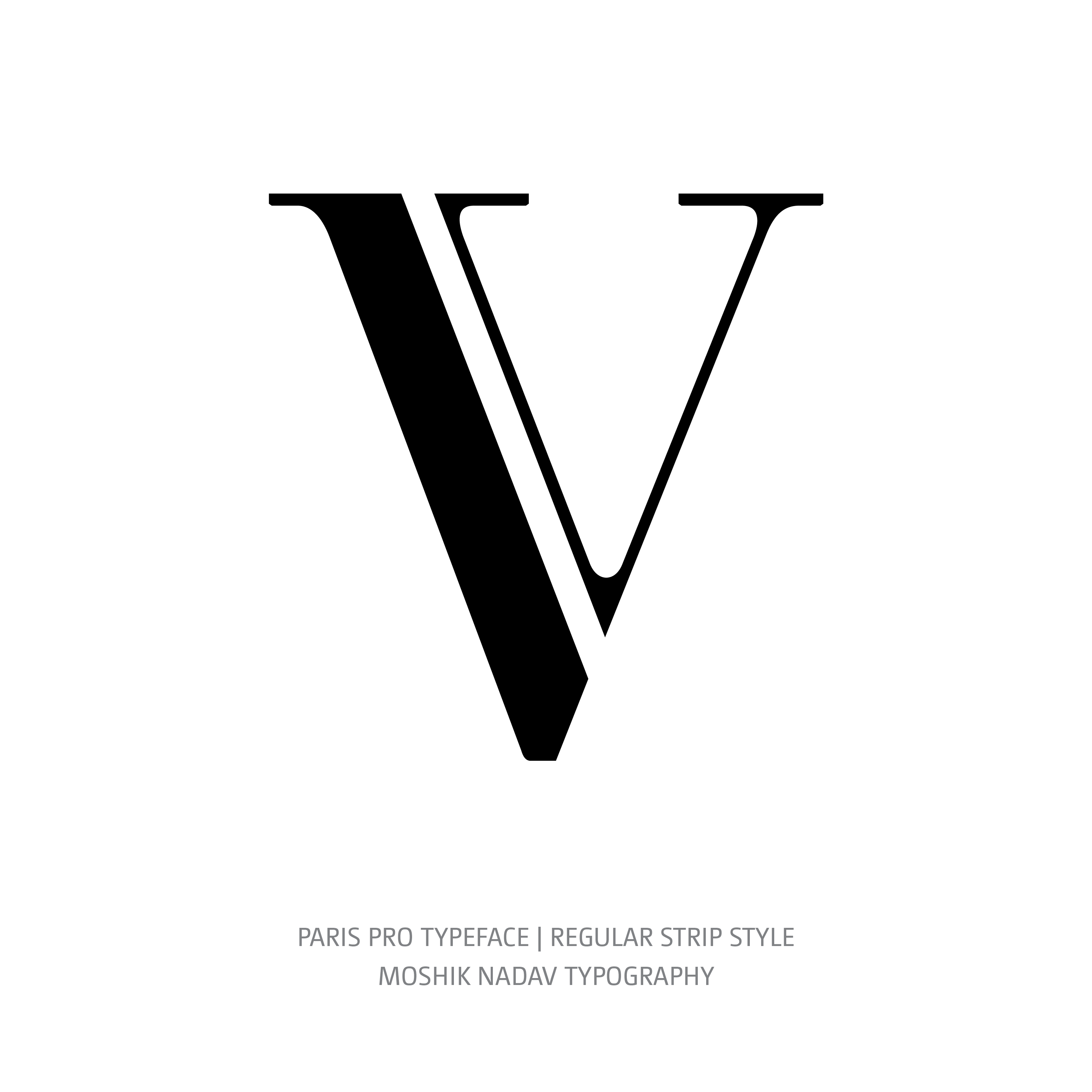 Paris Pro Typeface Regular Strip V