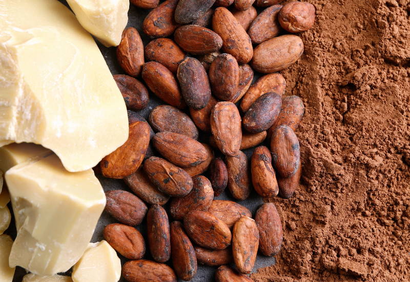 カカオバターとは