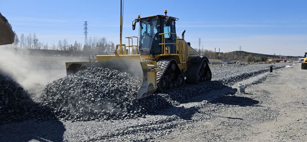 profile-8