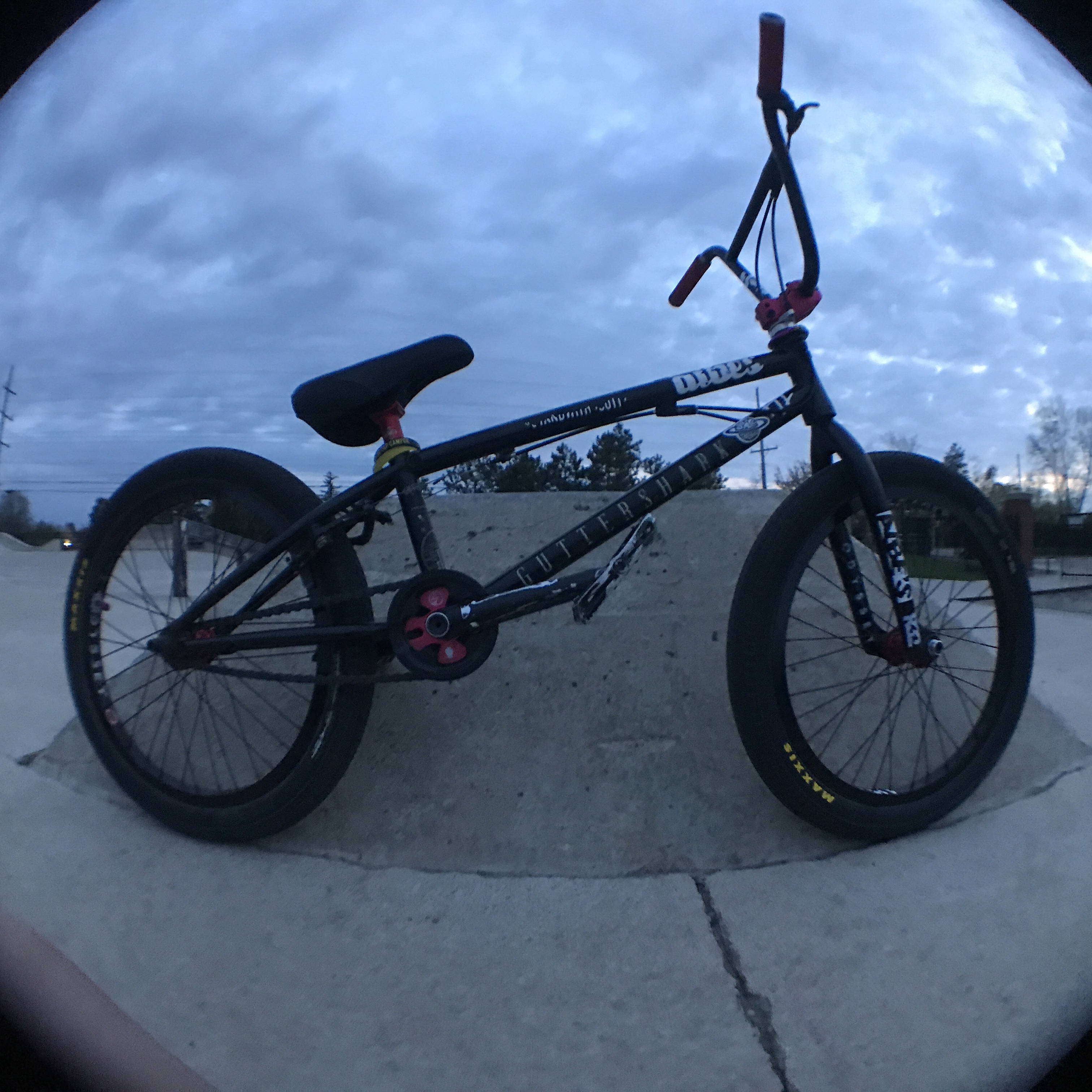 Hey does any one know a good quality bike Brand i should buy. As