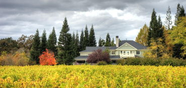 California Wine Country Motorcycle Tour near Daly City, CA