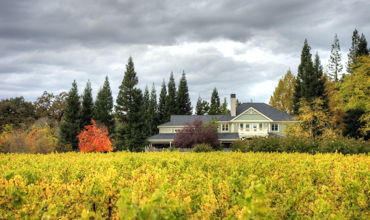 California Wine Country Motorcycle Tour