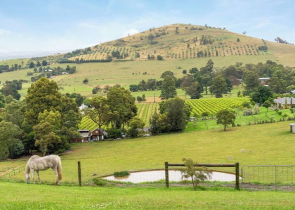 An Unforgettable View | Midweek Stay - 2 Nights