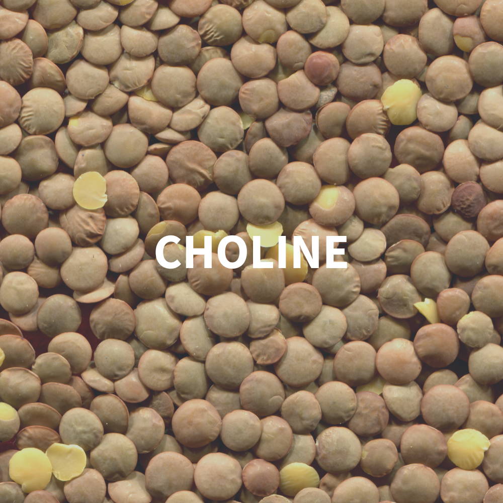 Choline for brain health