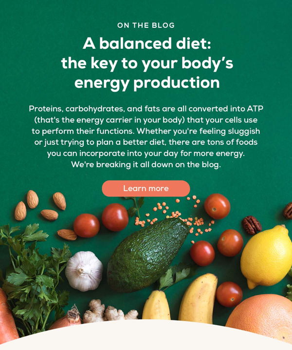 A balanced diet: the key to your bodys energy production