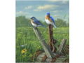 Print- Spring Meadow- Bluebirds by James Hautman