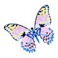 Foulard carré en soie Collection le papillon virginie riou