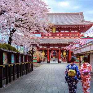 5 Night Stay In A Tokyo Hotel