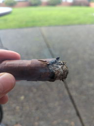 Cigar Session Photo