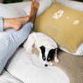 woman and dog on couch next to personalized paw and nose print keepsake pillow