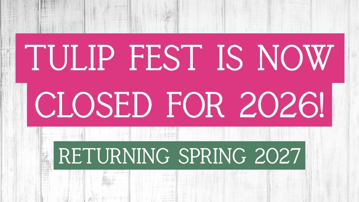 Experience Tulip Fest 2026 - the South West’s original and largest tulip festival. Explore over 500,000 blooms, 60 vibrant varieties, stunning photo spots, family-friendly entertainment, and a touch of Holland in the heart of Devon. Don’t miss this spectacular spring event!