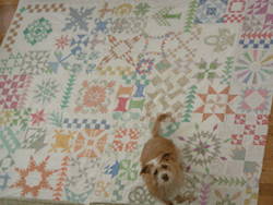 Quilt made using Prep-Tool by Guidelines4Quilting