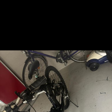 Wheeler Pro 39 Fahrrad