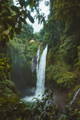 waterfall deep within a rainforest