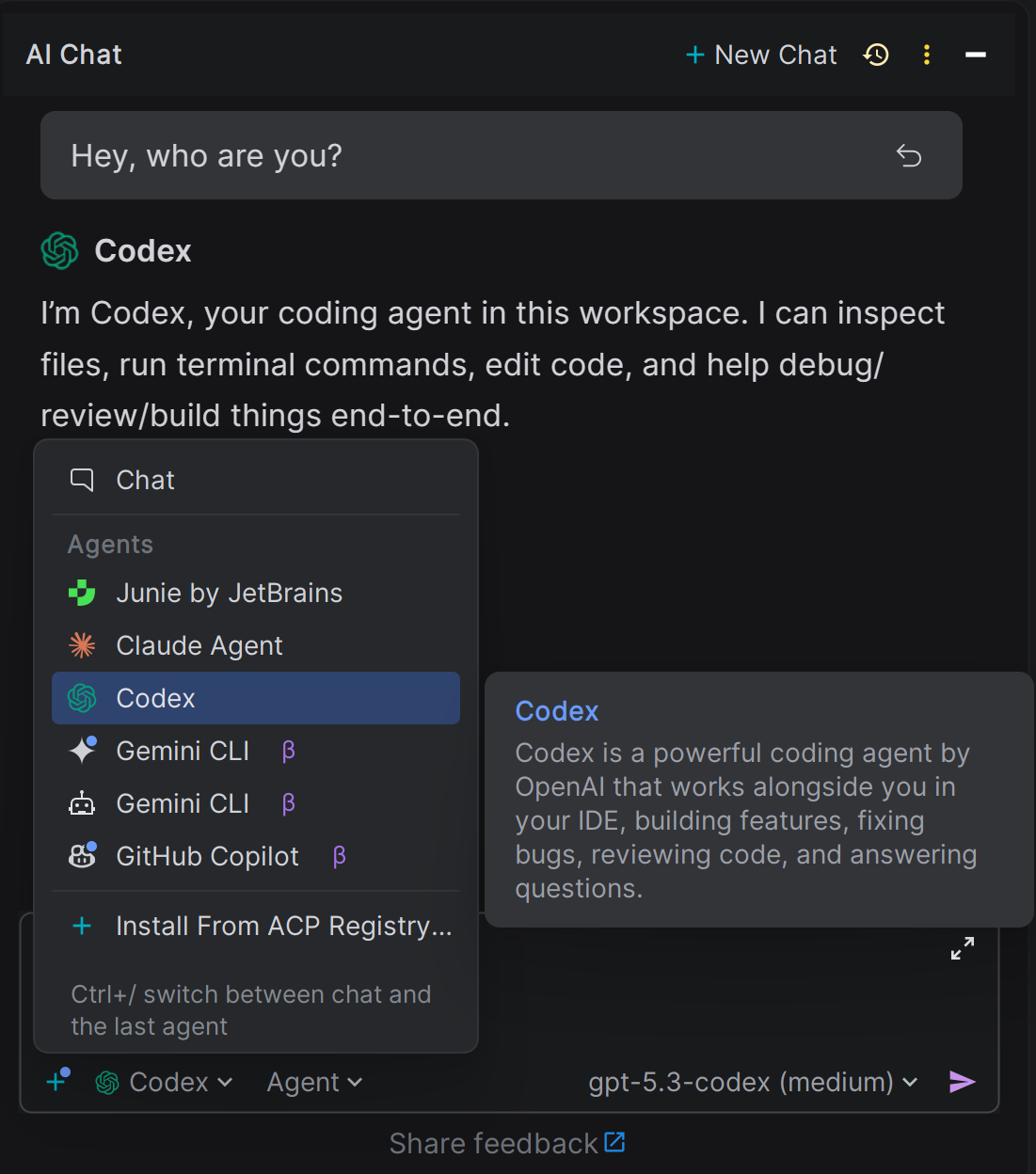 Codex in JetBrains AI Assistant.