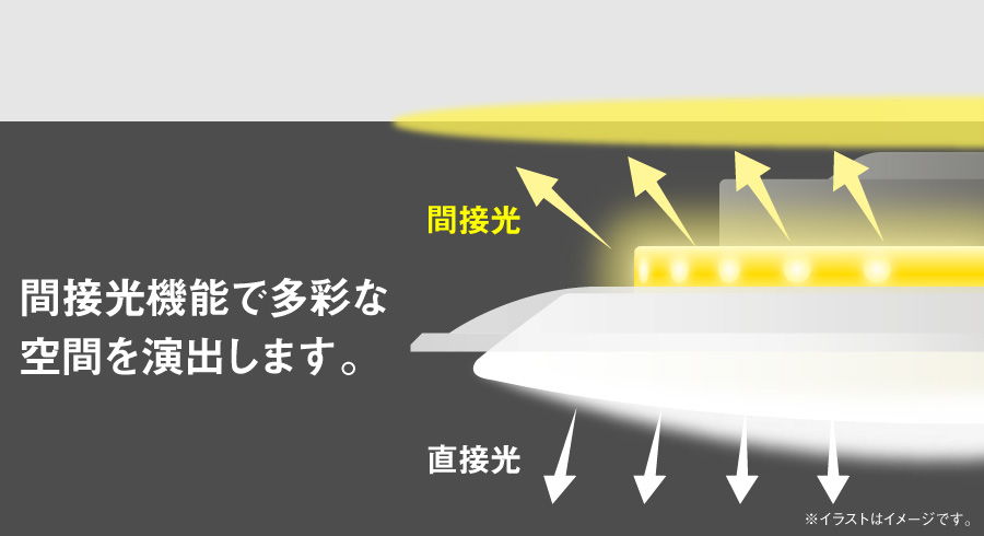 多彩な空間