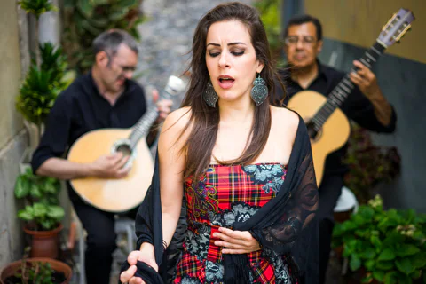 Lisbon Night Tour with Fado Show and 3-Course Portuguese Dinner