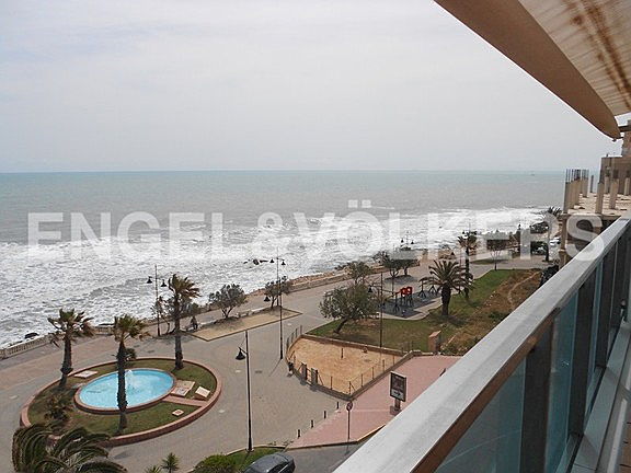  Torrevieja
- modern-and-cosy-frontline-beach-apartment.jpg