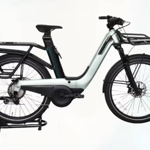 Vaast electric bike
