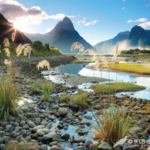 Adventures in New Zealand!