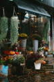 Fall Plants in containers