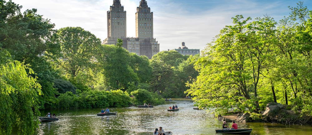 Photo by Harry Gillen on Unsplash of Central Park