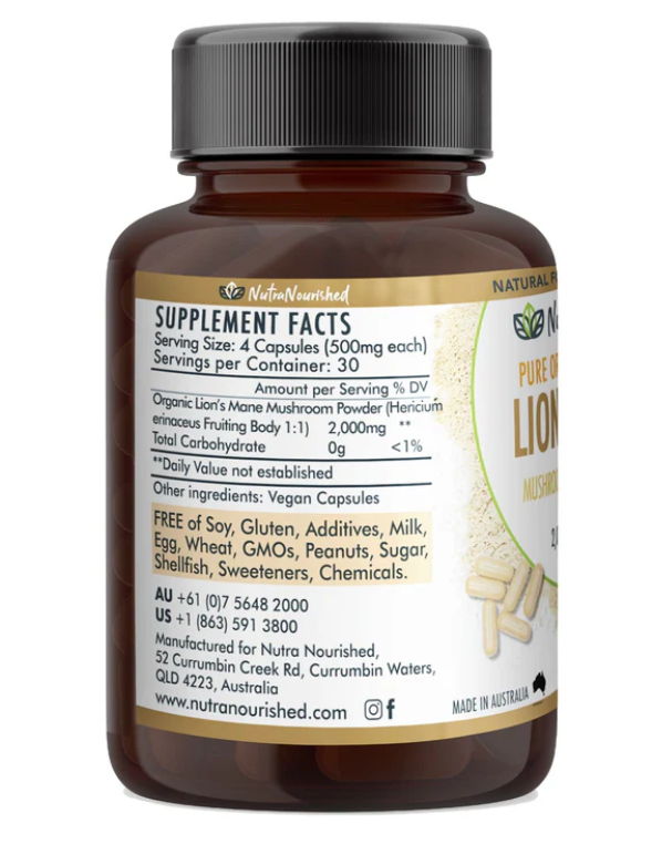 Lion's Mane Mushroom Hericium - Image 7