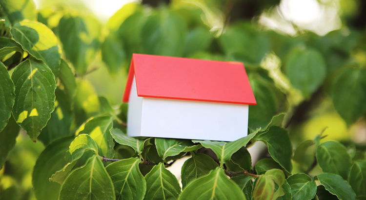 featured image for story, Las Ejecuciones Hipotecareas (foreclosures) de hoy no es como el 2008