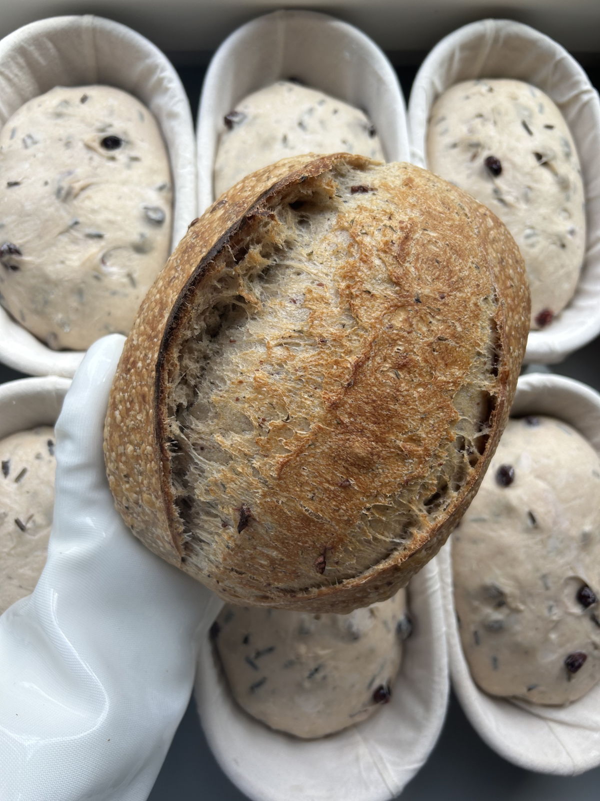 Honoré Bakery — photo from hotplate.com