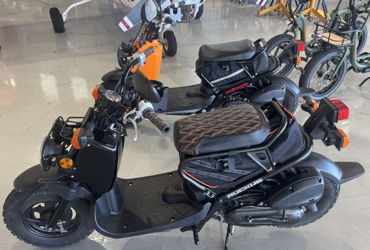 2024 HONDA RUCKUS motorcycle for rent near Venice, FL