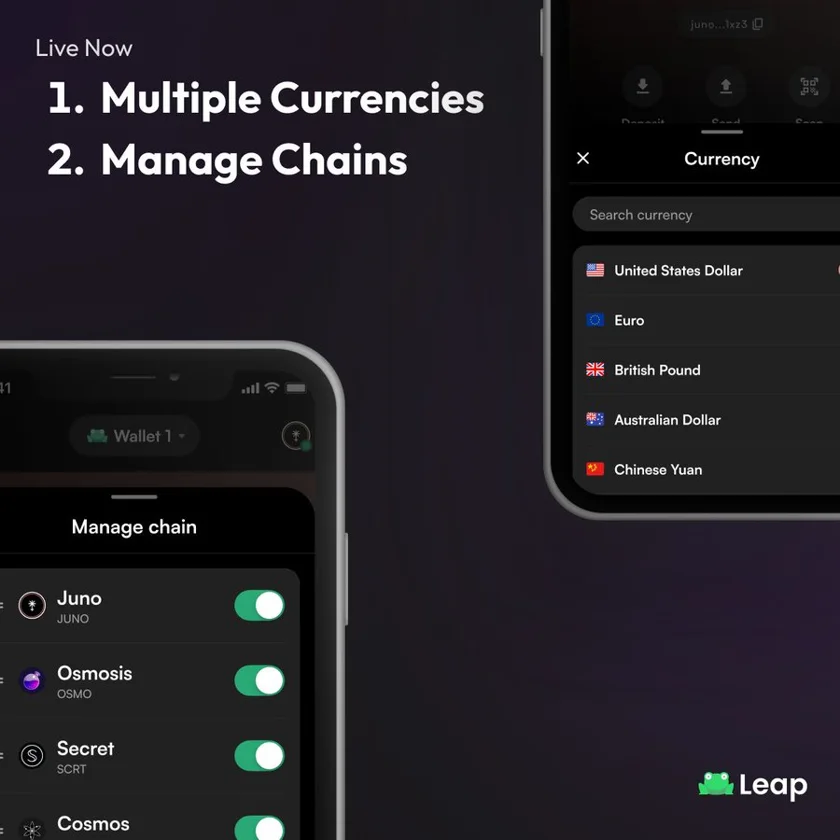 A picture which shows the LEAP wallet upgrades
