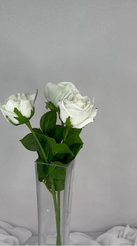 White Large Real Touch Rose - Realistic Artificial Flowers - Image 4