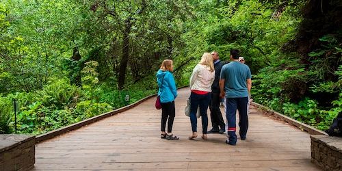 Muir Woods & Sausalito: Morning Tour from San Francisco promotional image