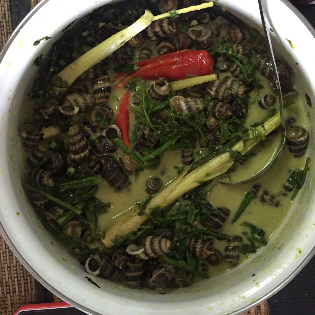 Siput sedut masak lemak pucuk paku. I remembered making them for the first time (at my brother’s). Bought them without thinking the hassle of cleaning them up and chopping the back of the shell. It turns out good tho. 