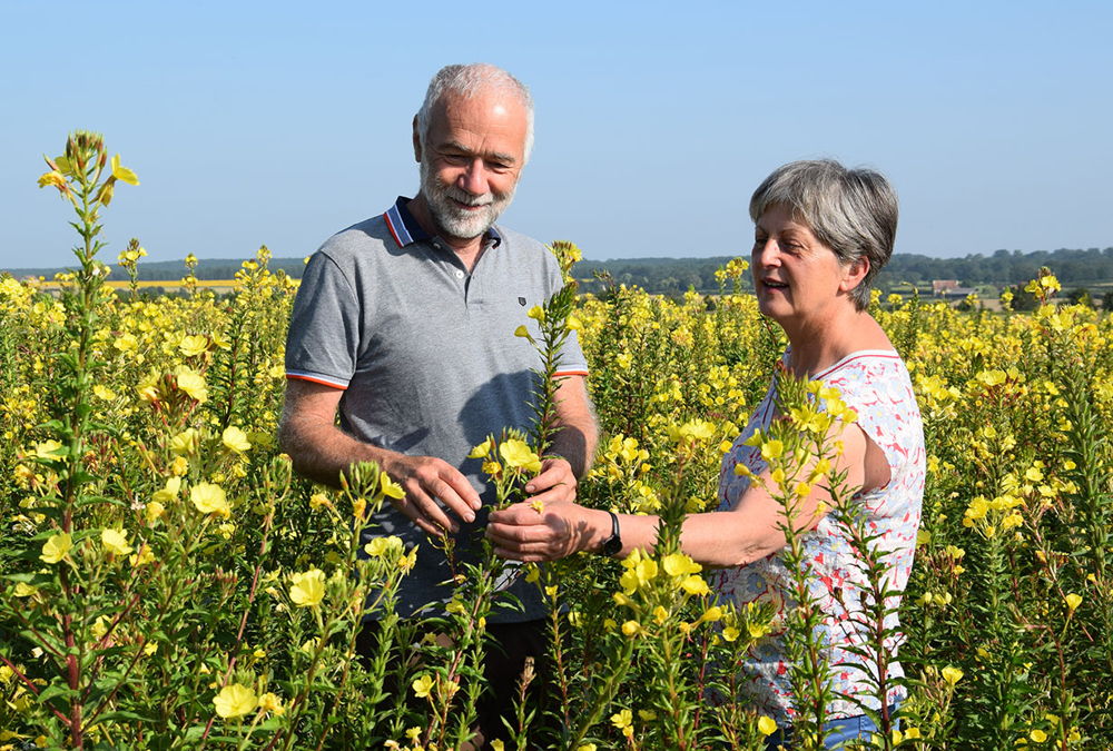 Daniel et Mireille Rouillard