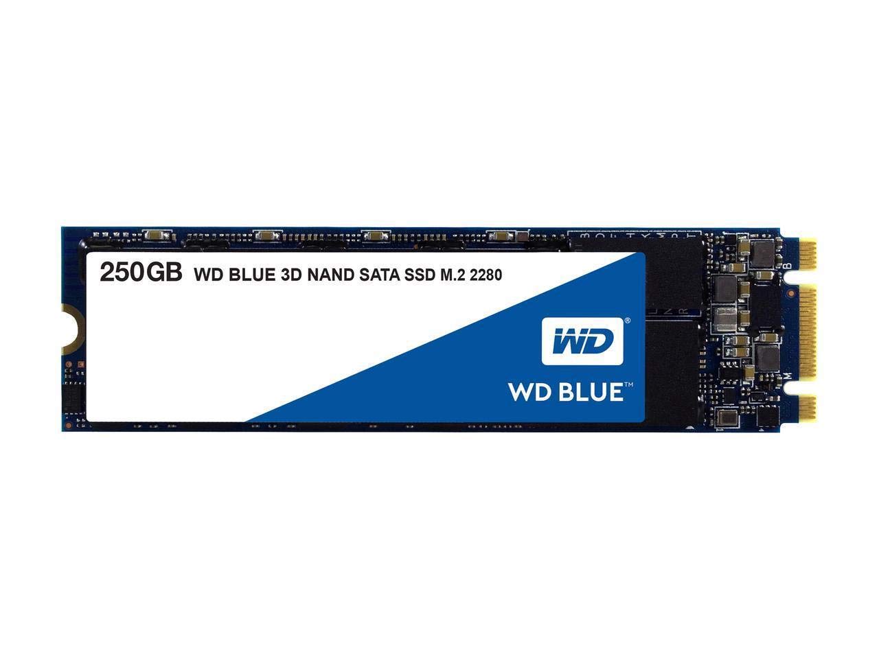 Adata Xpg Sx8200 Pro Series Ssds Vs Western Digital Blue 3d Nand