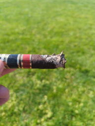 Cigar Session Photo
